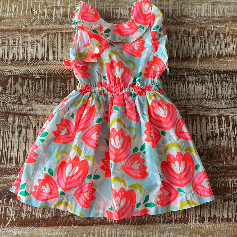 Crewcuts cactus flower dress